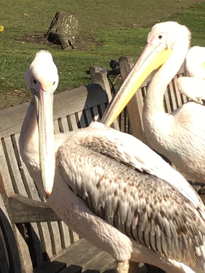 This image has an empty alt attribute; its file name is img_8719.jpg